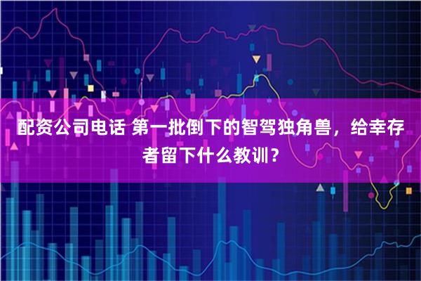 配资公司电话 第一批倒下的智驾独角兽，给幸存者留下什么教训？