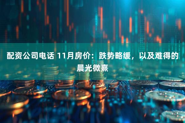 配资公司电话 11月房价：跌势略缓，以及难得的晨光微熹