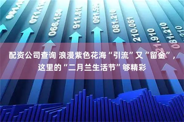 配资公司查询 浪漫紫色花海“引流”又“留金”，这里的“二月兰生活节”够精彩